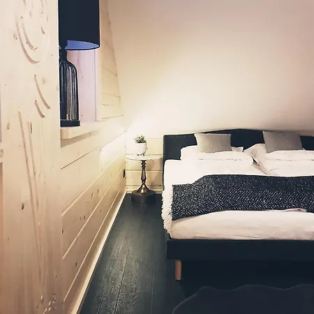 Vila Koniakowo - Dom Hunter *