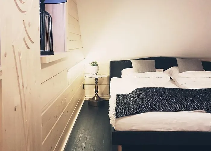 Vila Koniakowo - Dom Hunter *