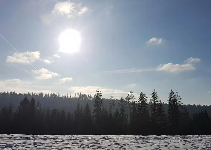 Koniakowo - Dom Hunter *