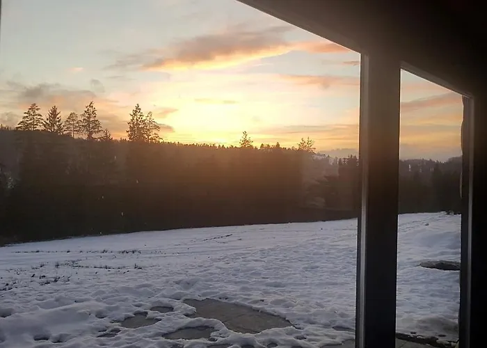 Vila Koniakowo - Dom Hunter *