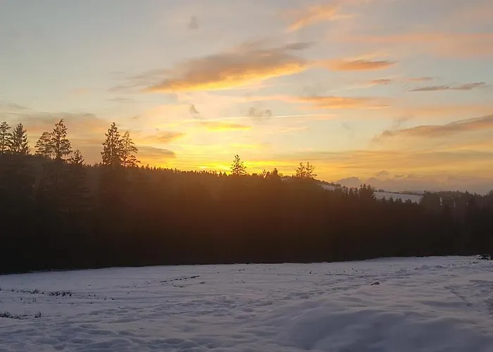 Vila Koniakowo - Dom Hunter *