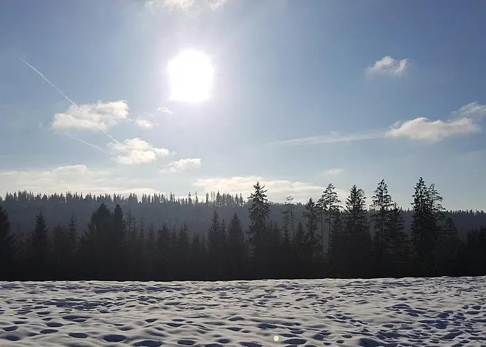 Koniakowo - Dom Hunter * Koniaków