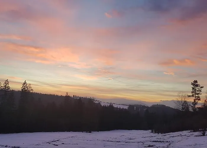 Vila Koniakowo - Dom Hunter